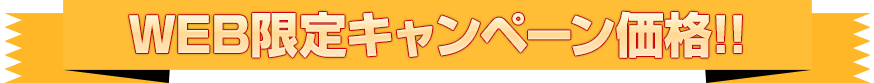 WEB限定キャンペーン価格!!